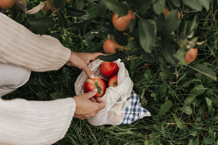 Sac en filet réutilisable avec des pommes